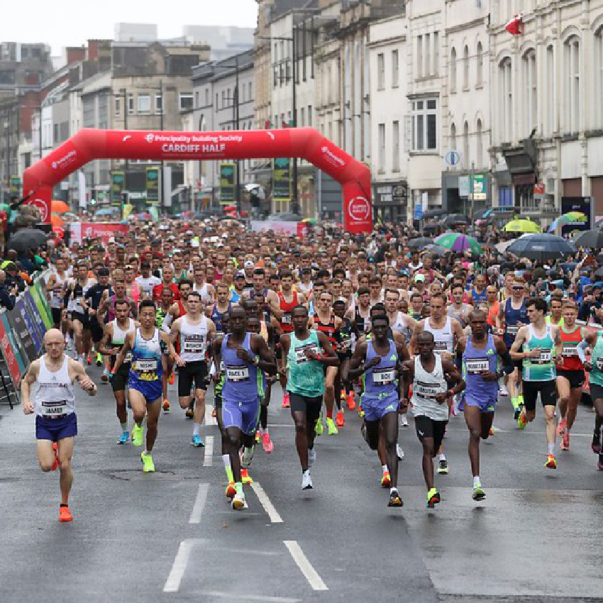 54050453255_f413b71596_c2